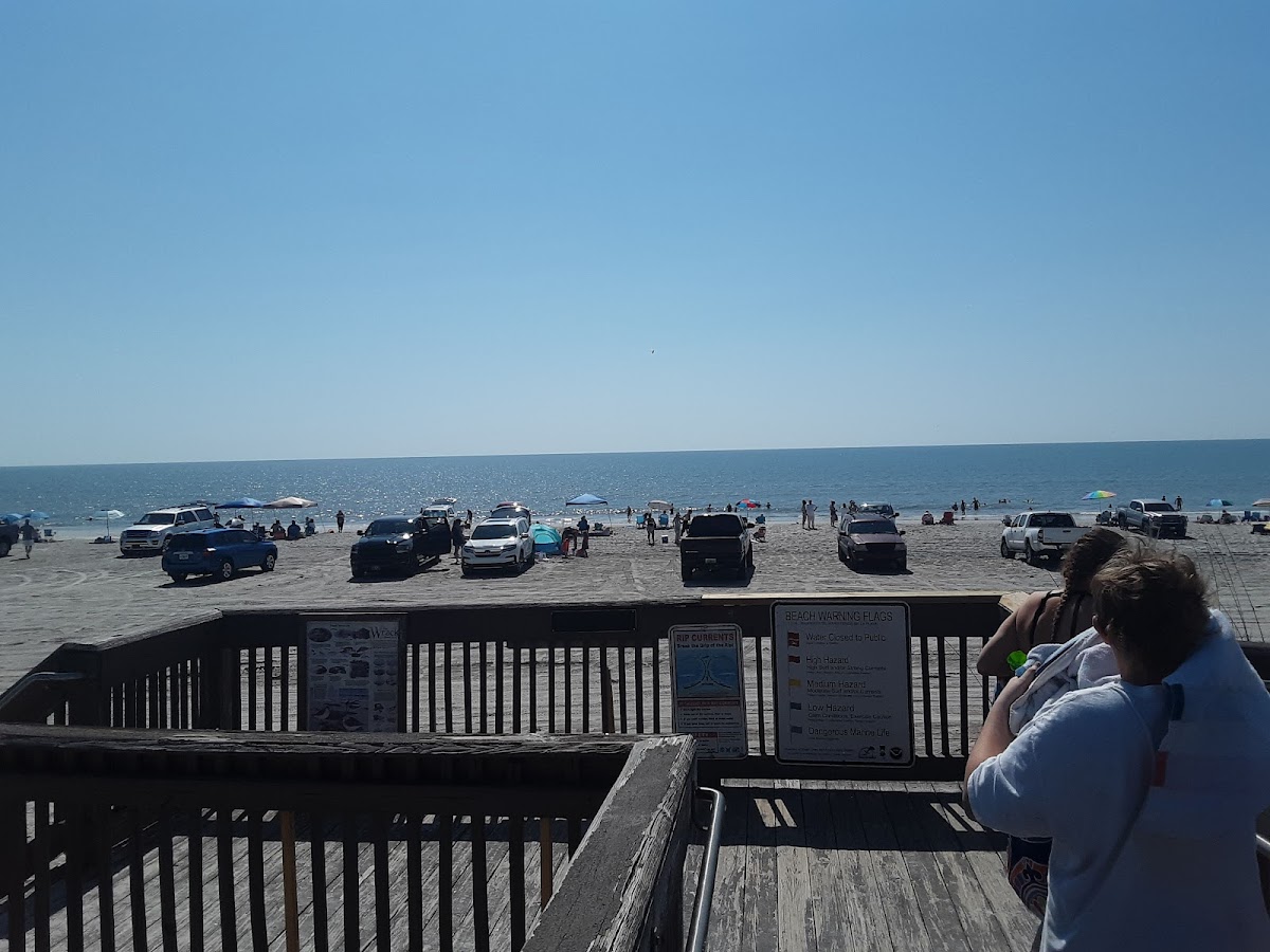 Hammerhead Beach Bar photo 10