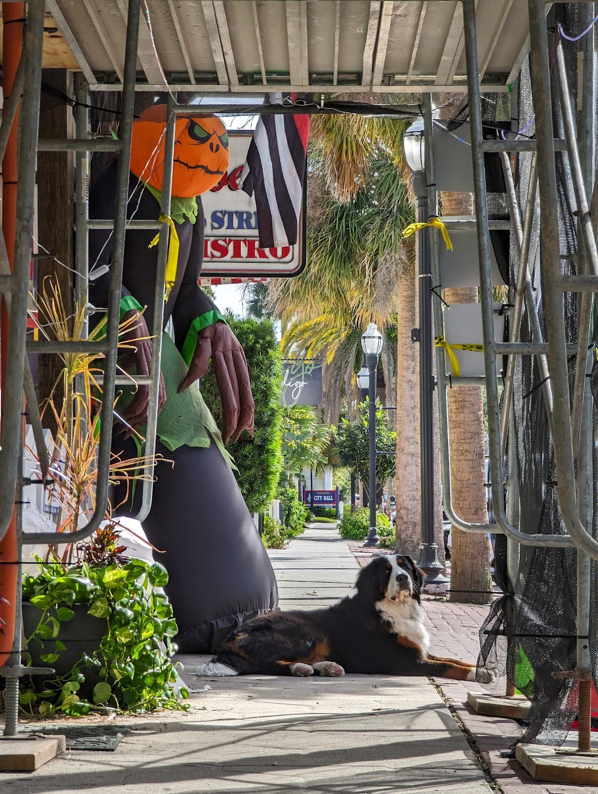 PJD'S Beer & Wine Garden photo 10