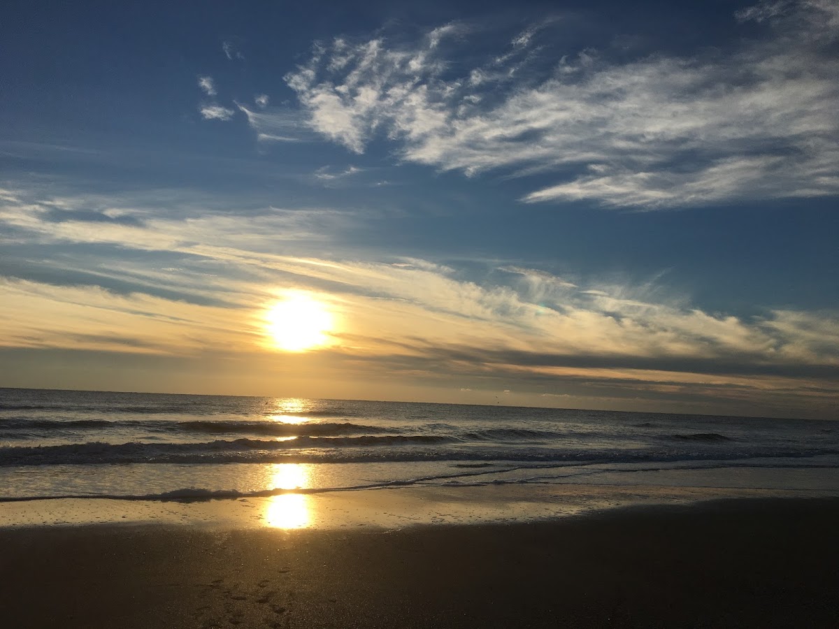 American Beach photo 1