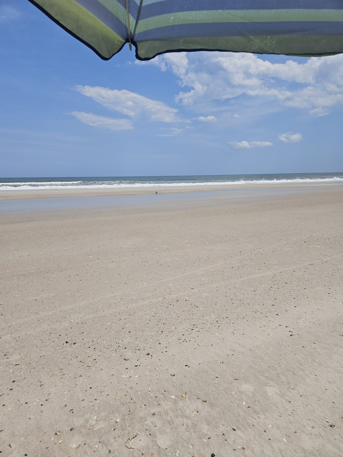 American Beach photo 5