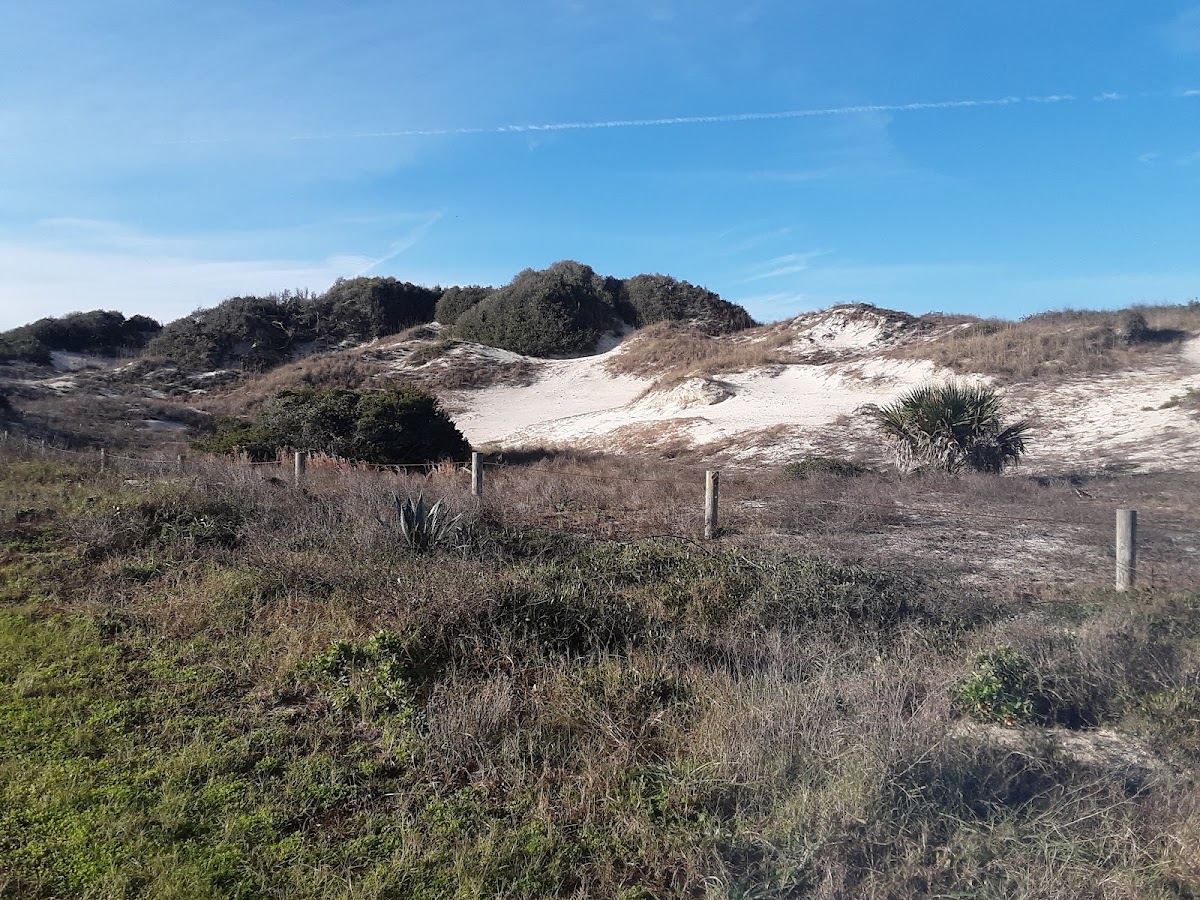 American Beach photo 6