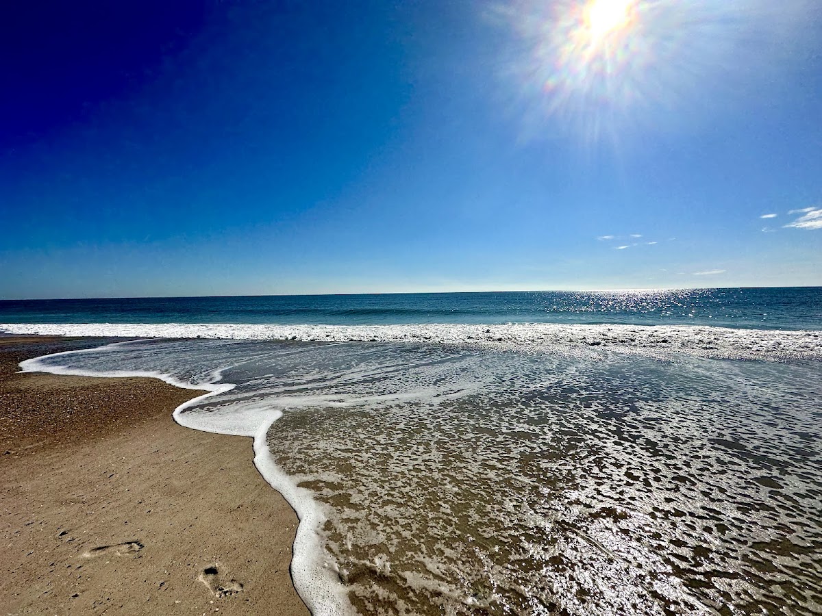 American Beach photo 7