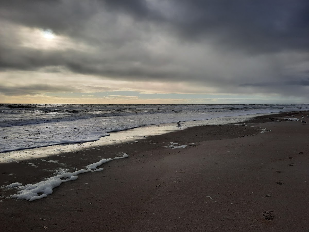 Beach Access 11 photo 1