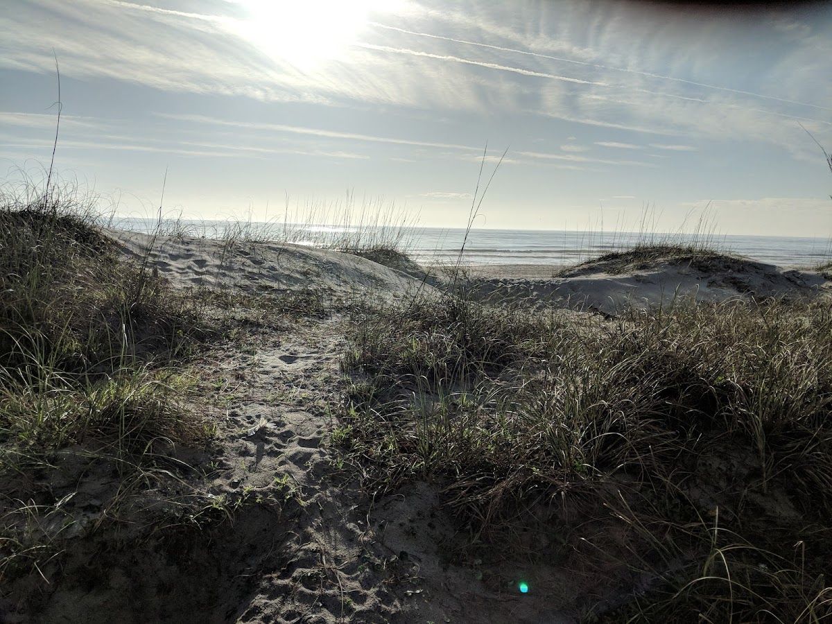 Beach Access 11 photo 2