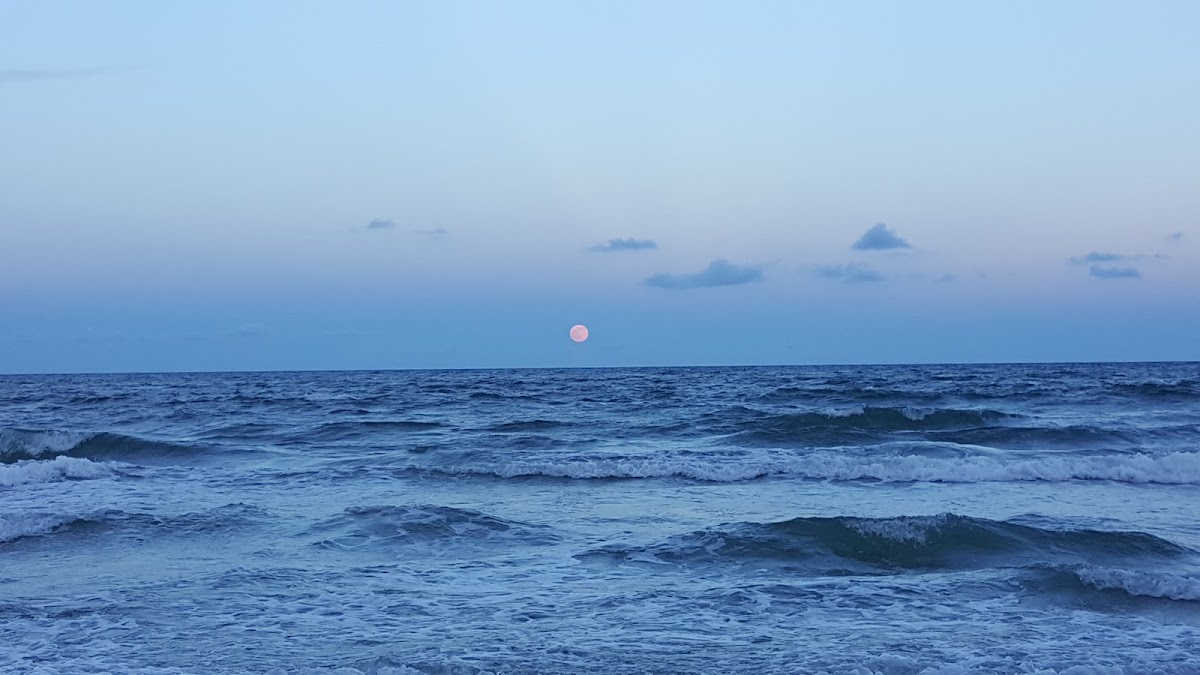 Beach Access 11 photo 10