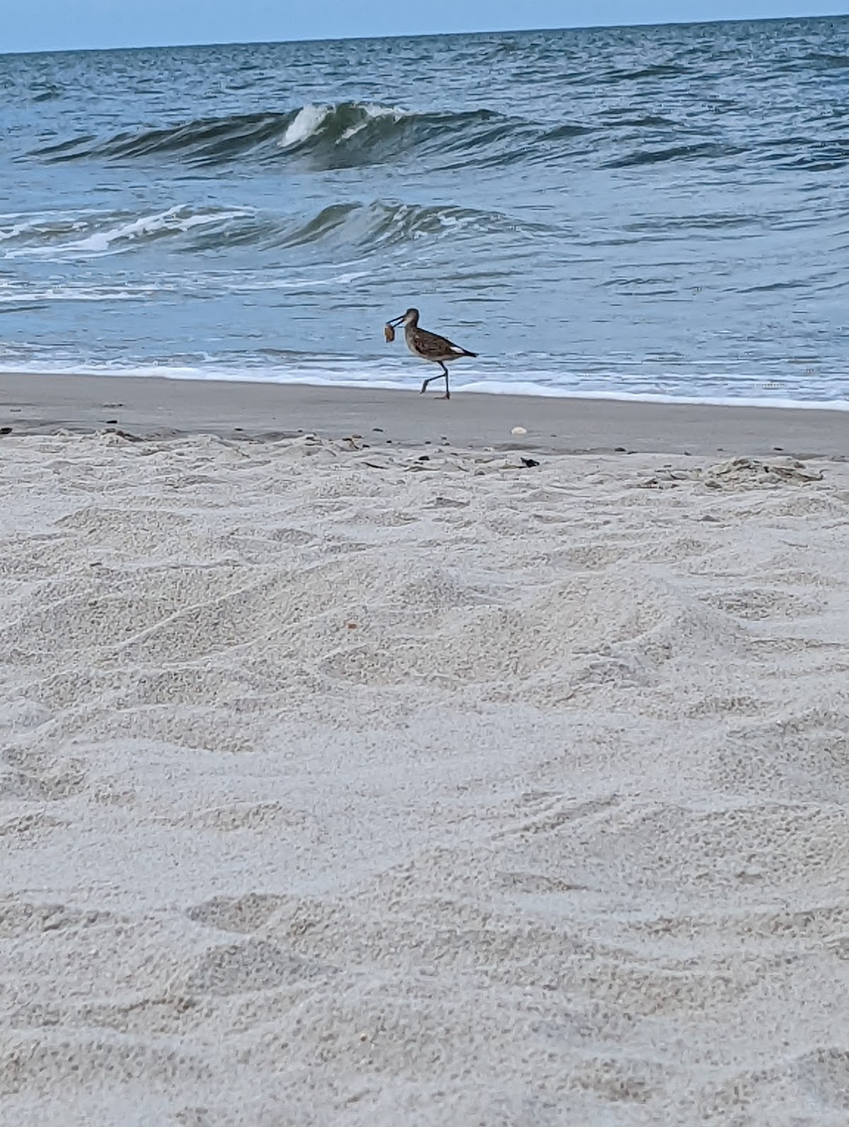 Beach Access 13 photo 5