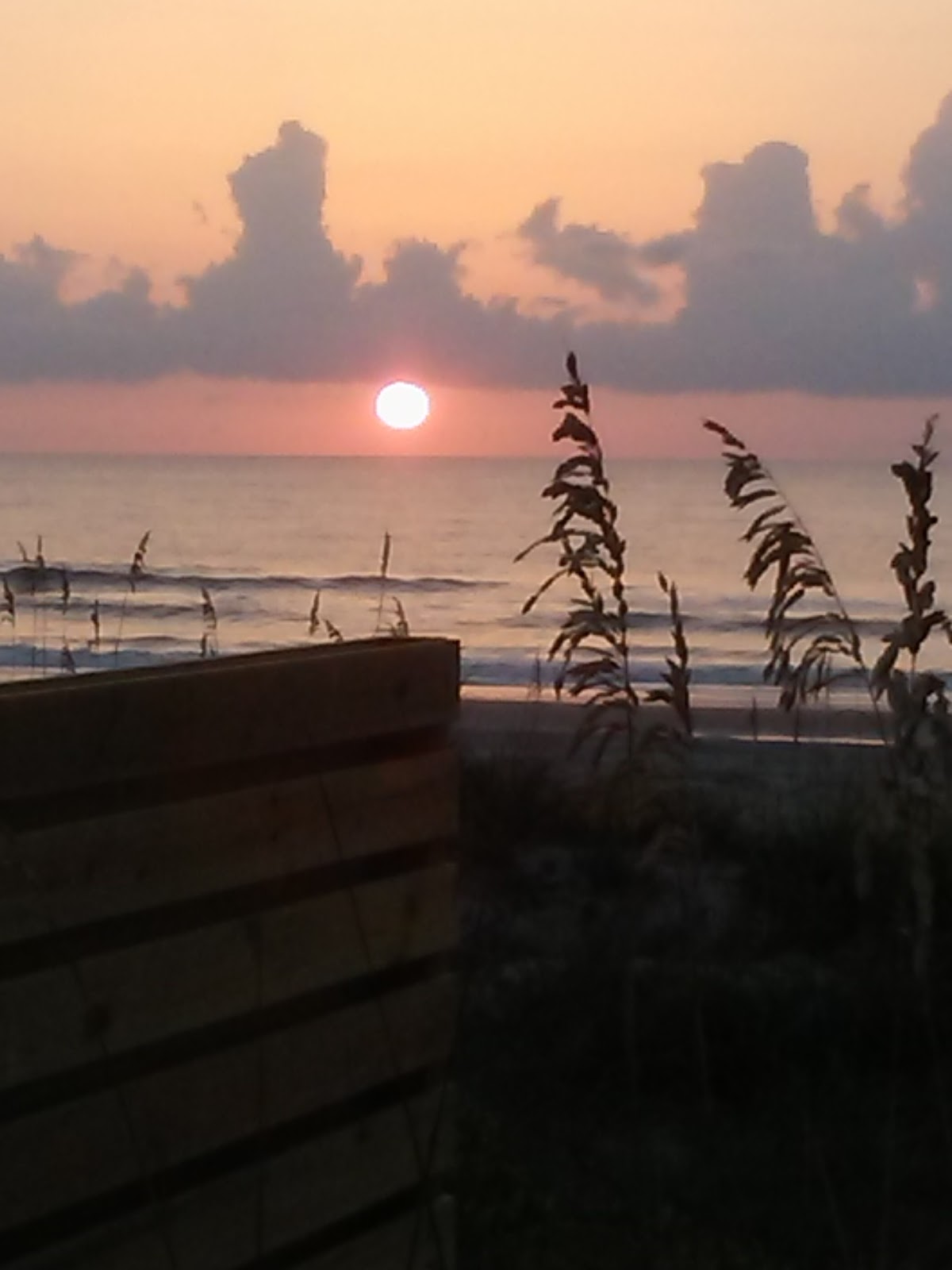 Beach Access 15 photo 10