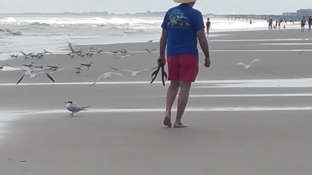 Beach Access 16 photo 4