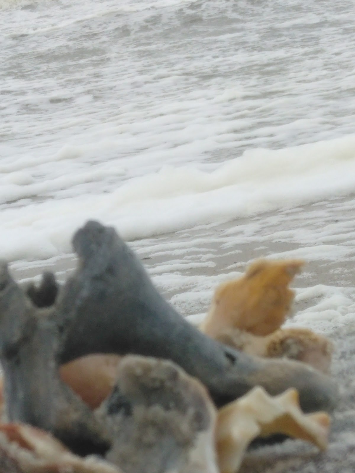 Beach Access #1 (Nassau Access) photo 9