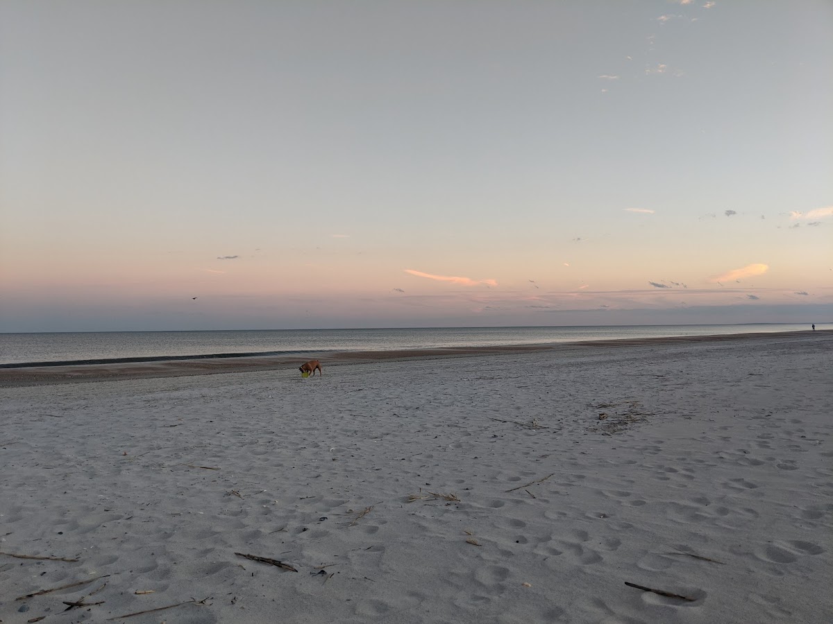 Beach Access 24 photo 3