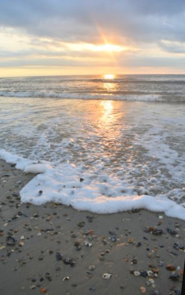 Beach Access 25 photo 2