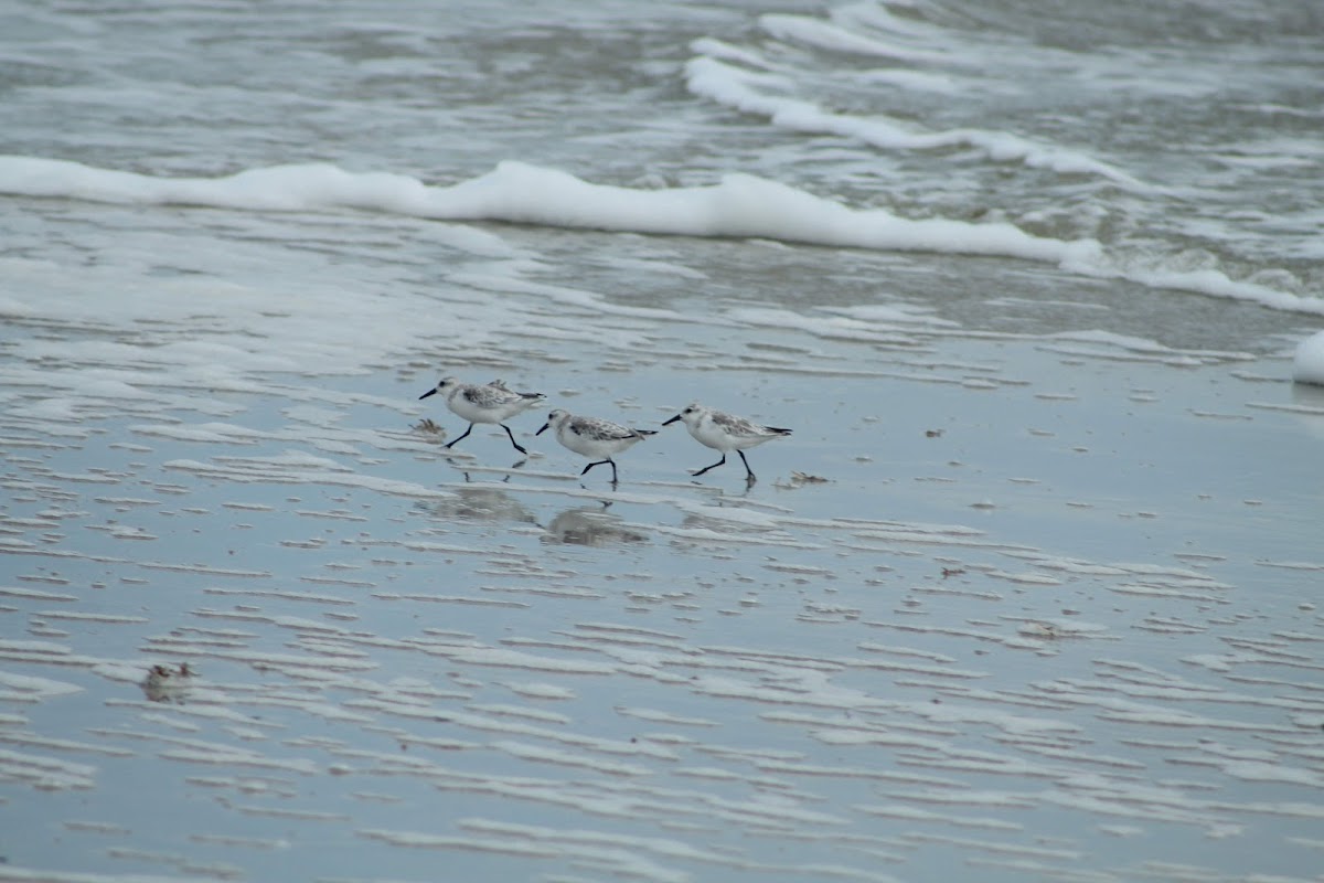 Beach Access 25 photo 8