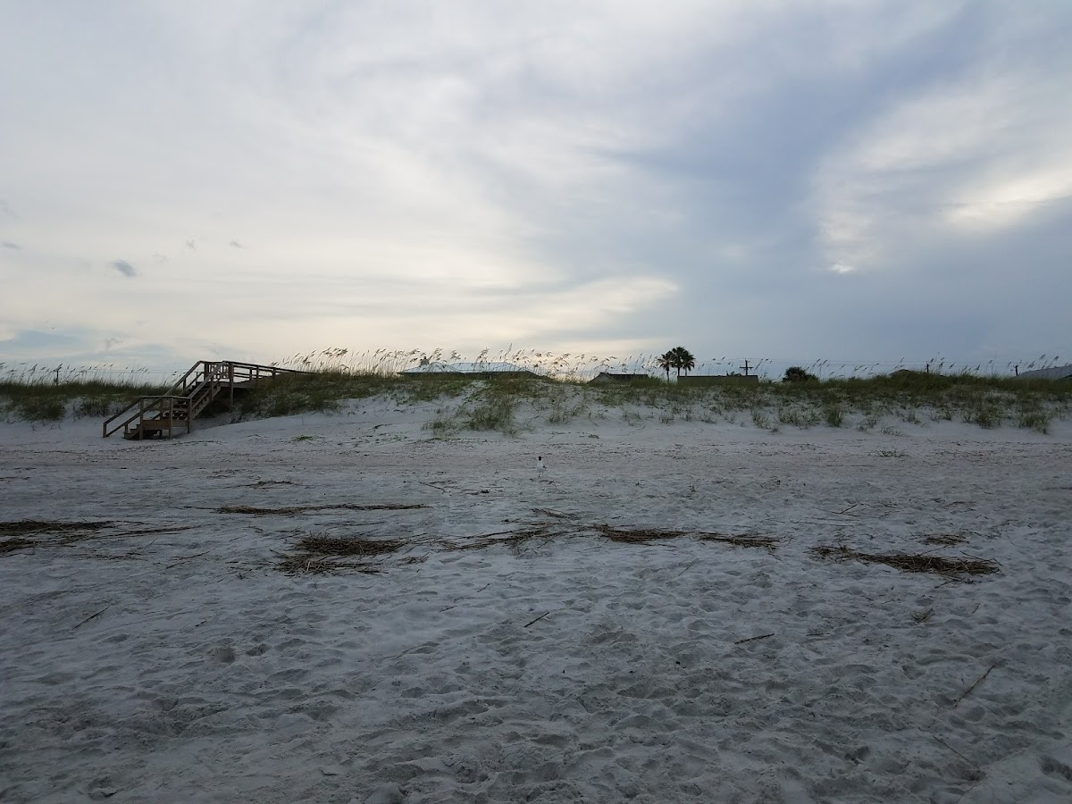 Beach Access 25 photo 10