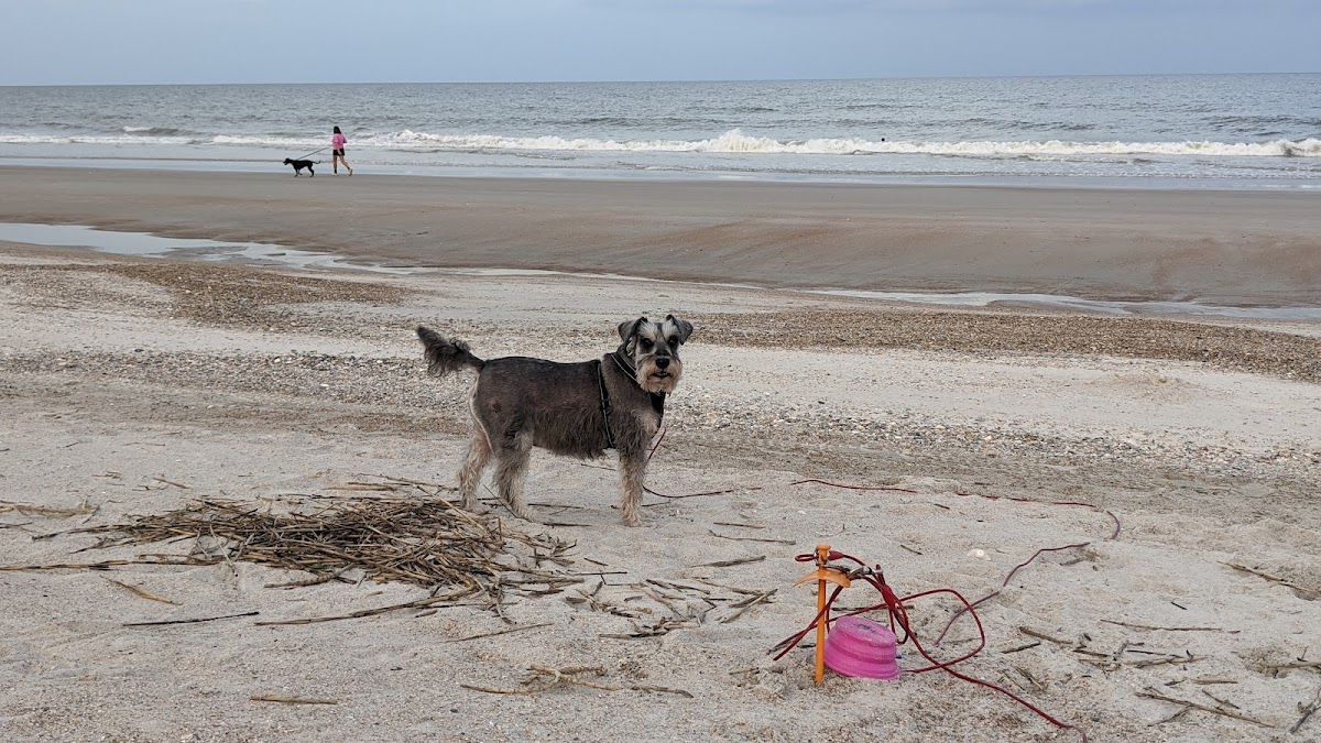 Beach Access 27 photo 7