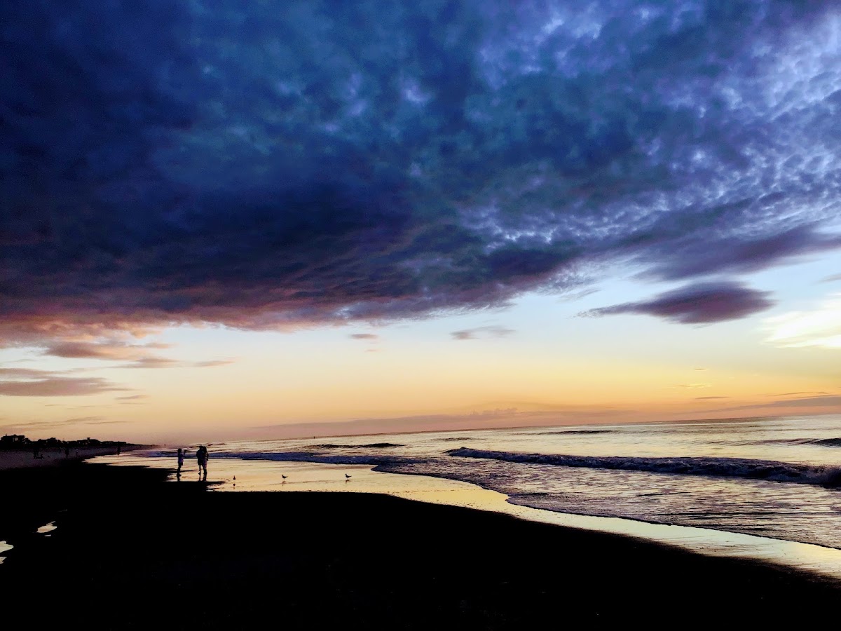 Beach Access #2 (Amelia Access) photo 3