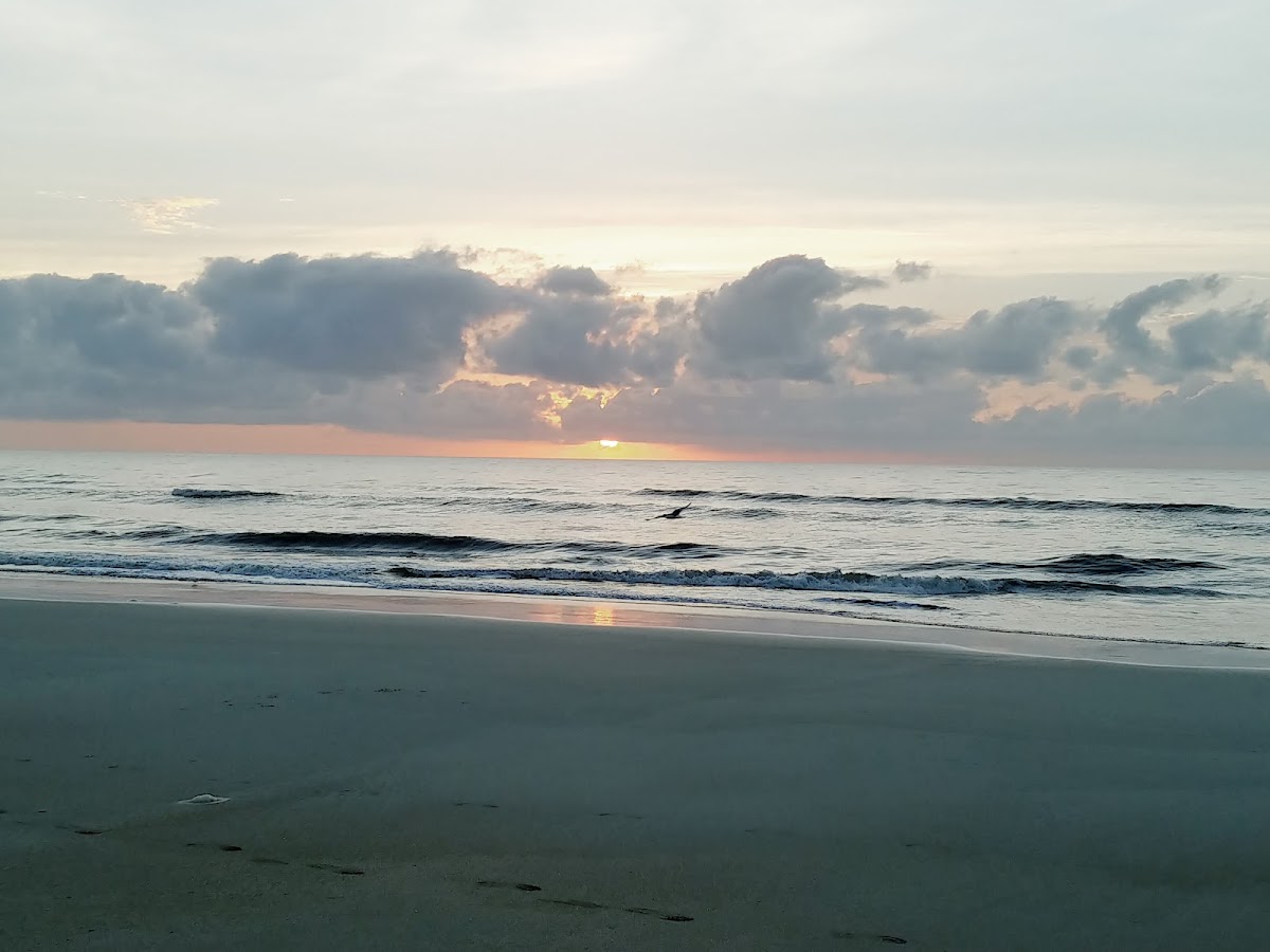 Beach Access 34 photo 4