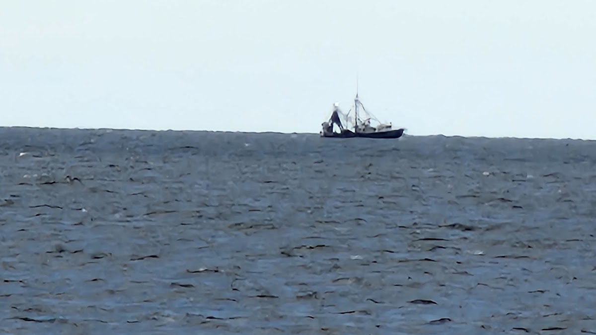 Beach Access 34 photo 6