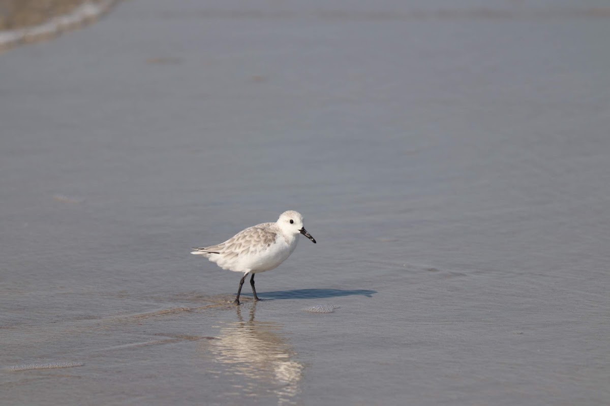 Beach Access 39 photo 10