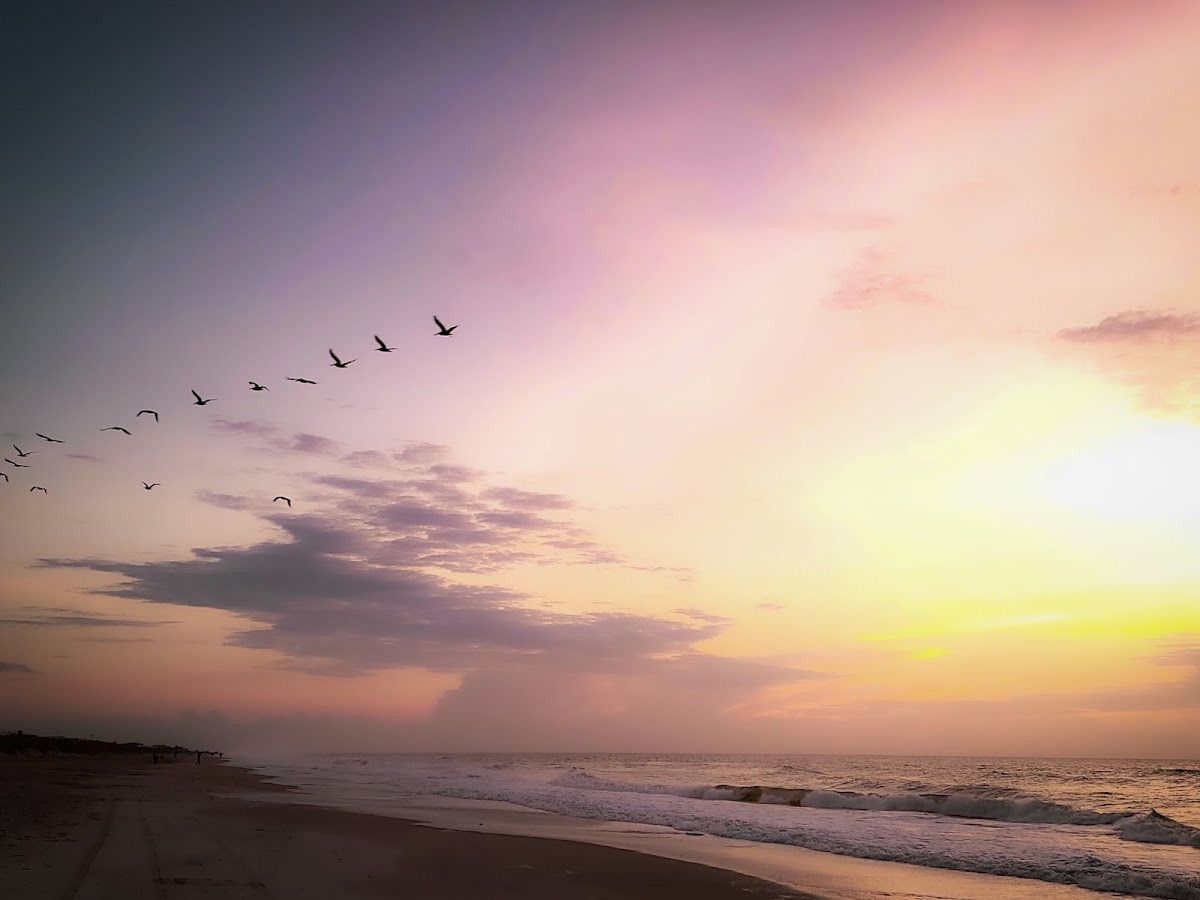 Beach Access 40 photo 6