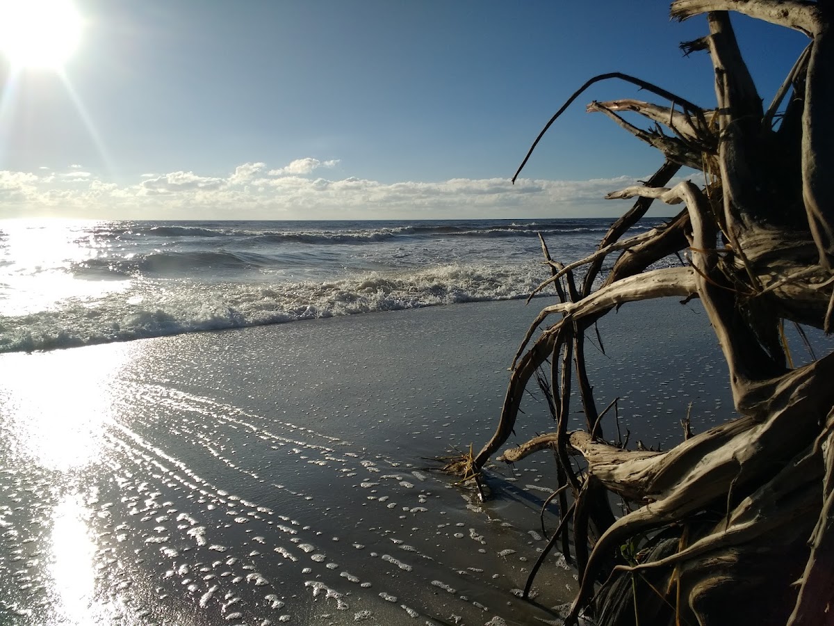 Beach Access 9 photo 5