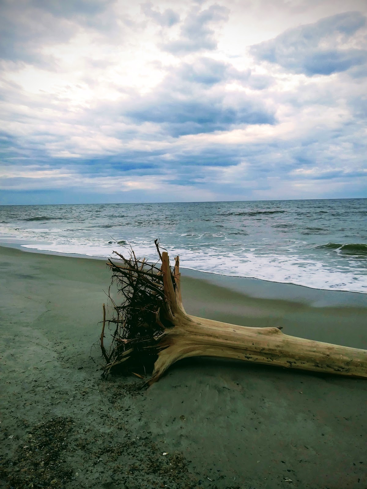 Beach Access 9 photo 7