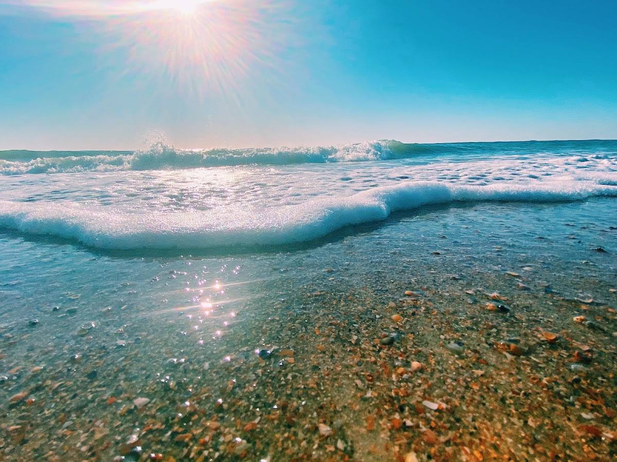 Beach Access 9 photo 9