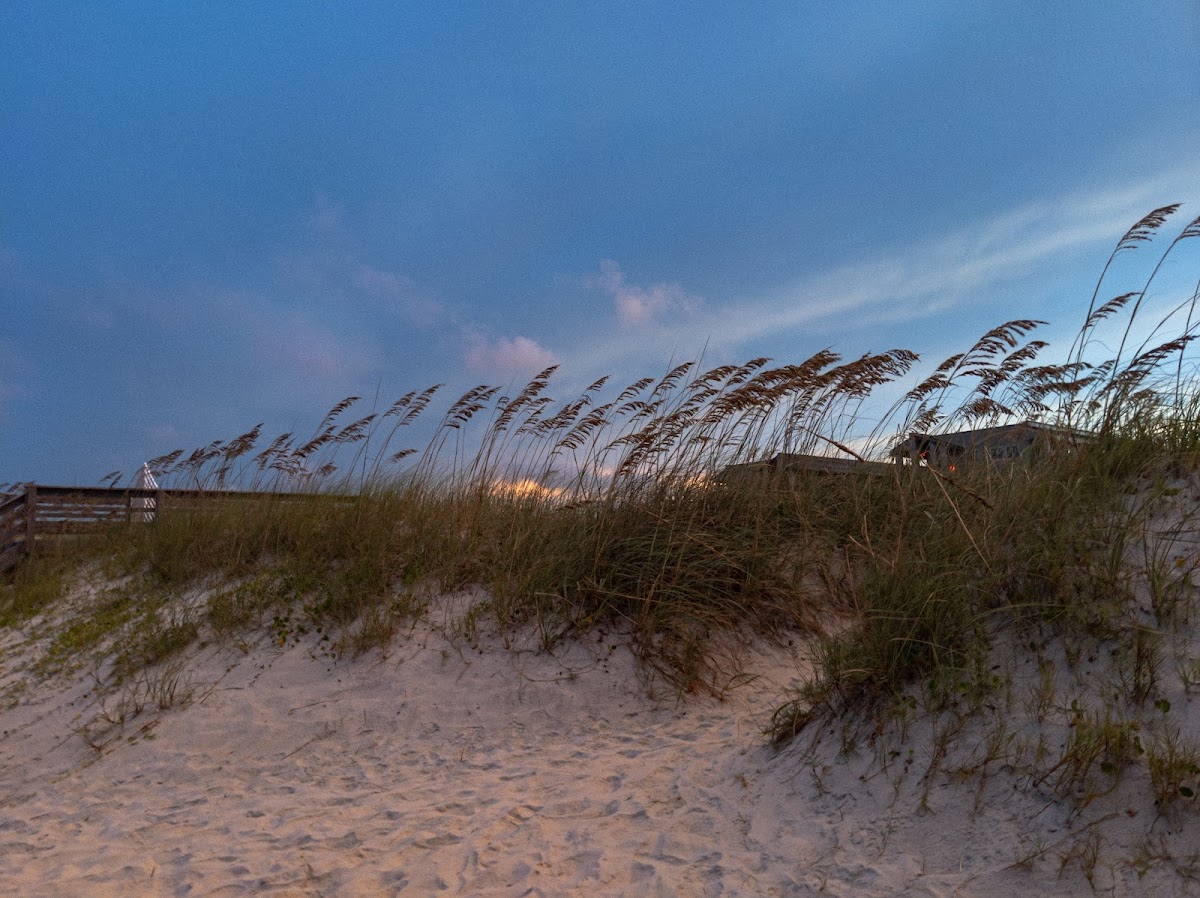 Beach Parking photo 5