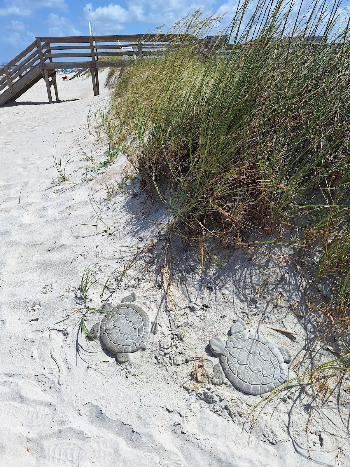 Beach Parking photo 10