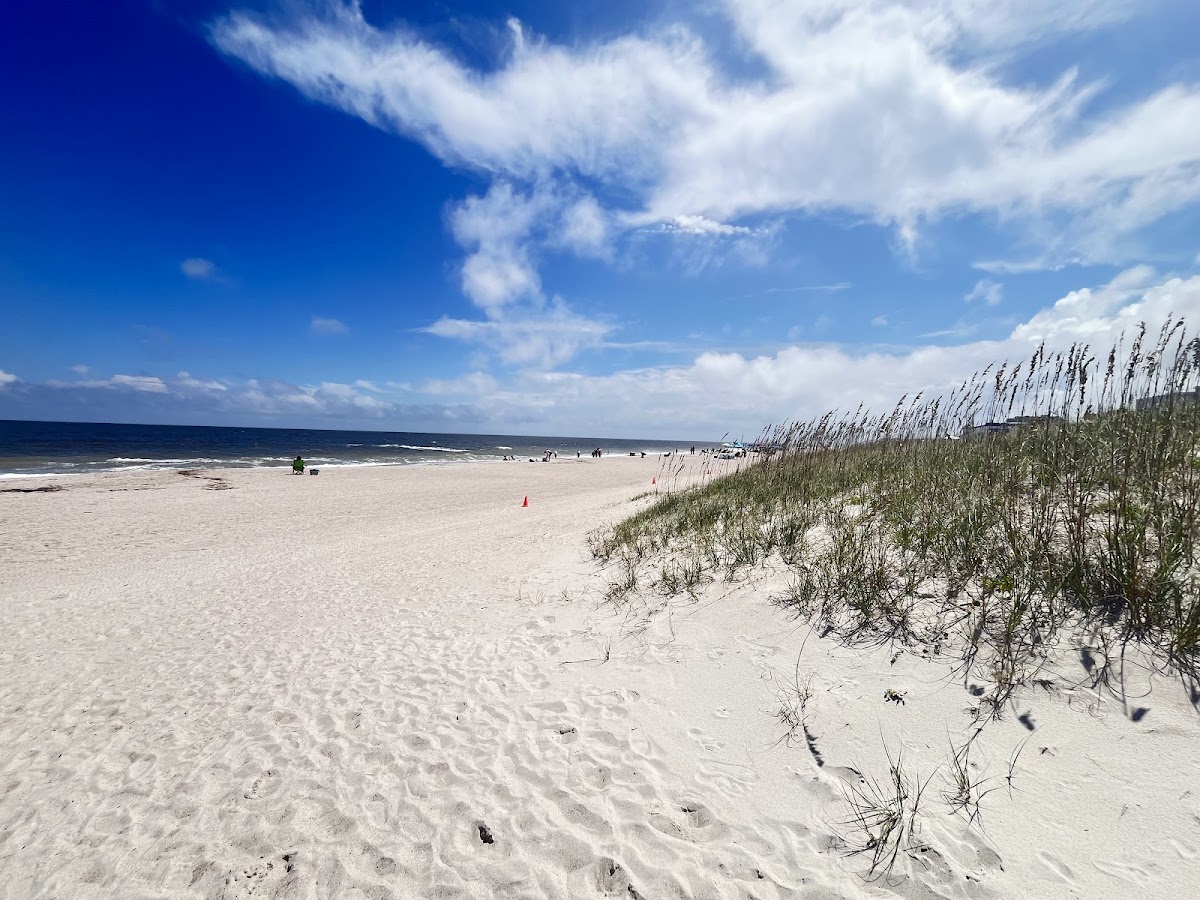 Main Beach Park photo 7