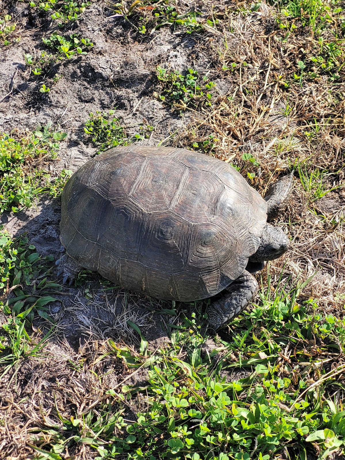 Peters Point Beachfront Park photo 8