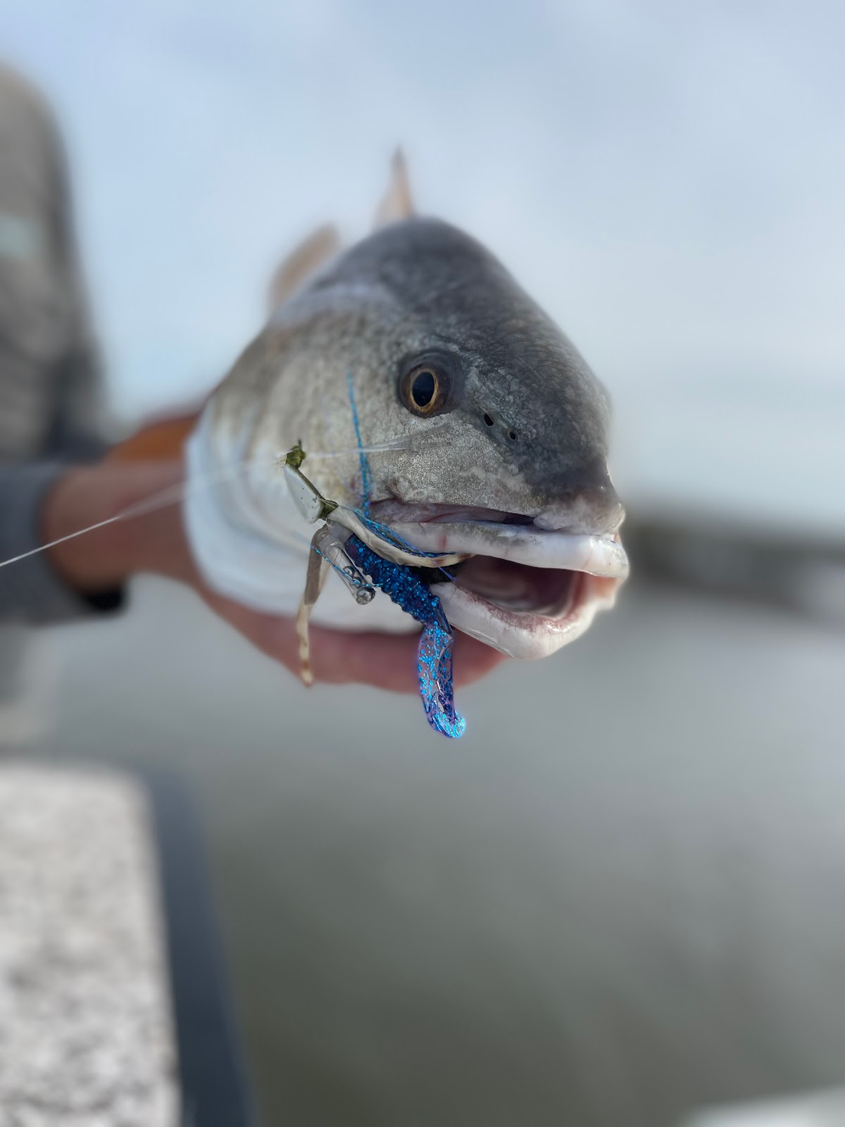 Amelia Backwater Fishing Co photo 9