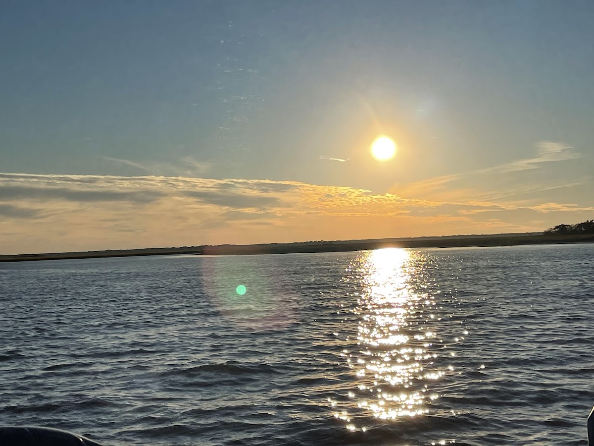 Amelia Island Charters photo 5