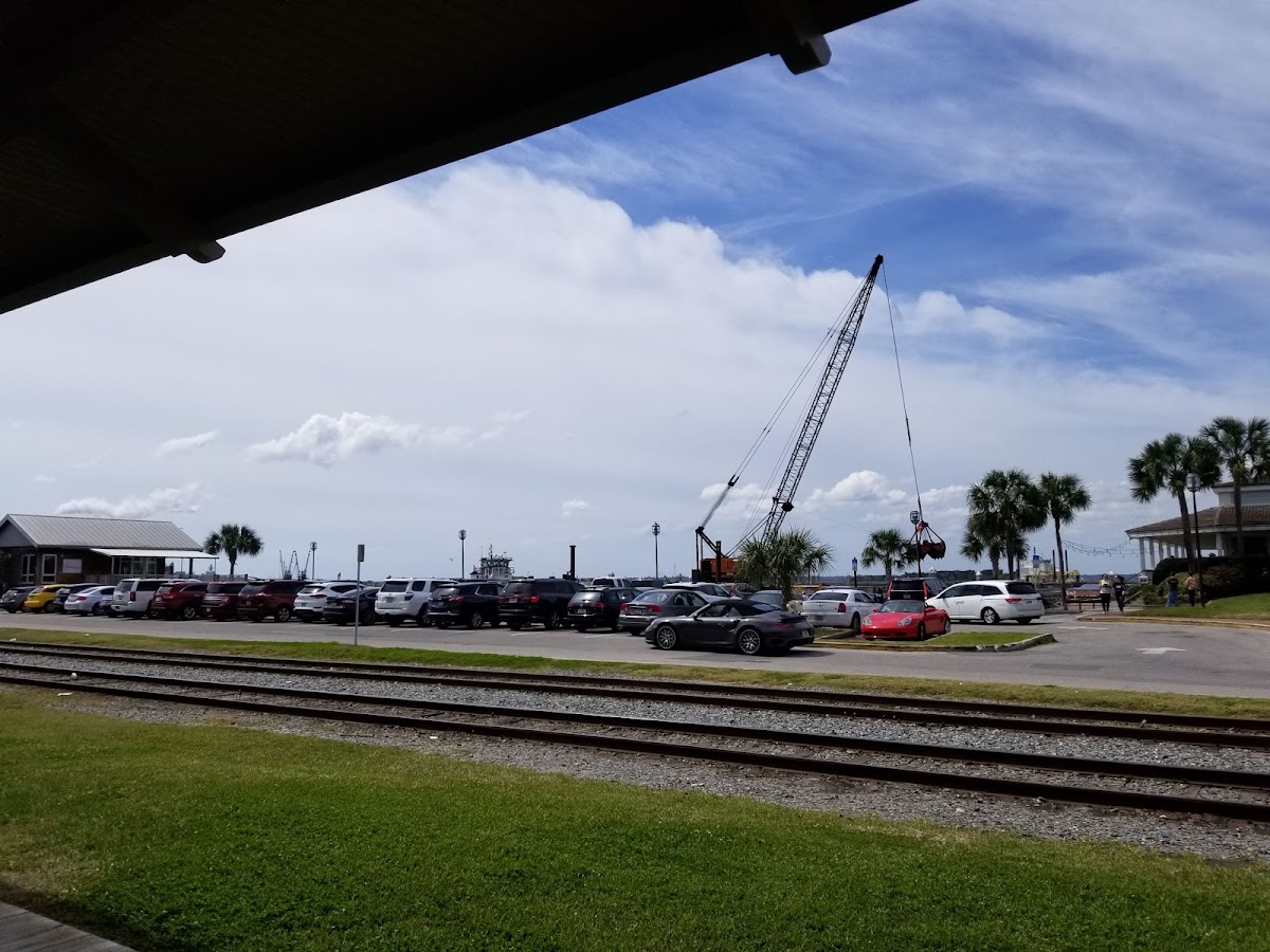 Amelia Island Charters photo 7