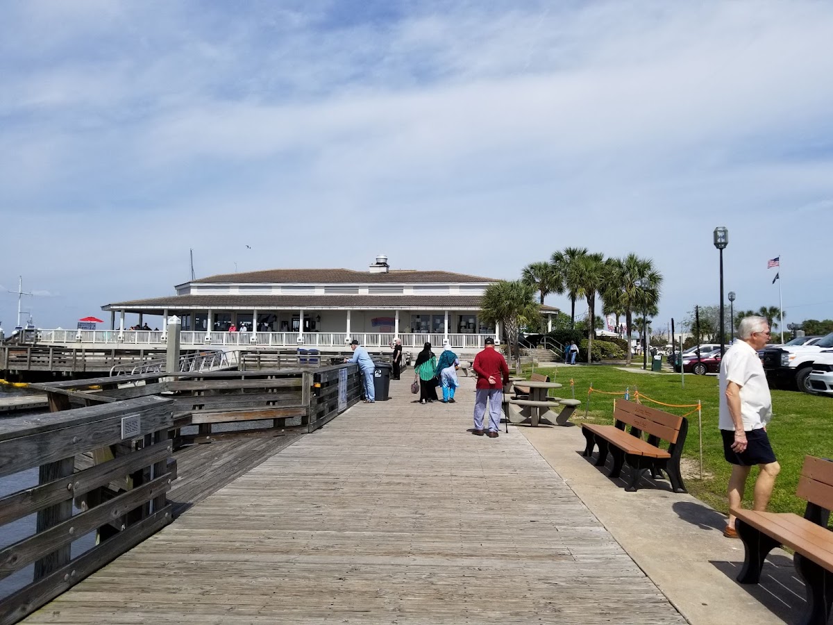 Amelia Island Charters photo 10