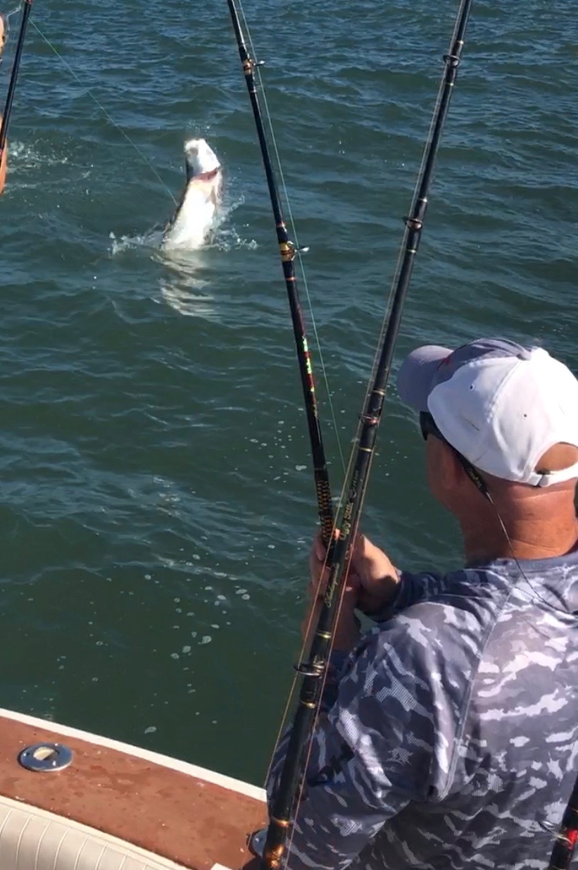 Amelia Island Sport Fishing photo 9