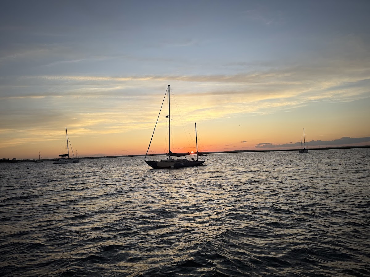 Amelia River Cruises & Charters photo 2