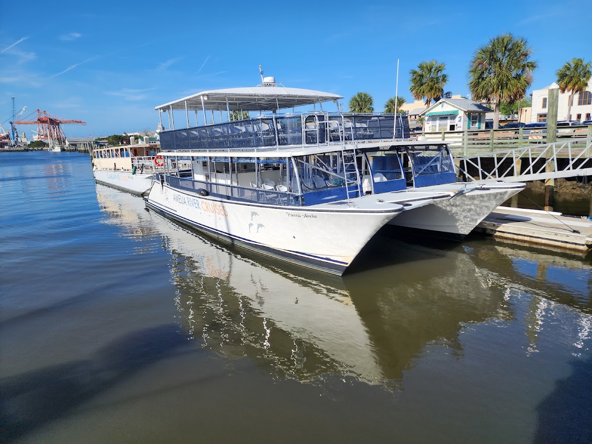 Amelia River Cruises & Charters photo 4