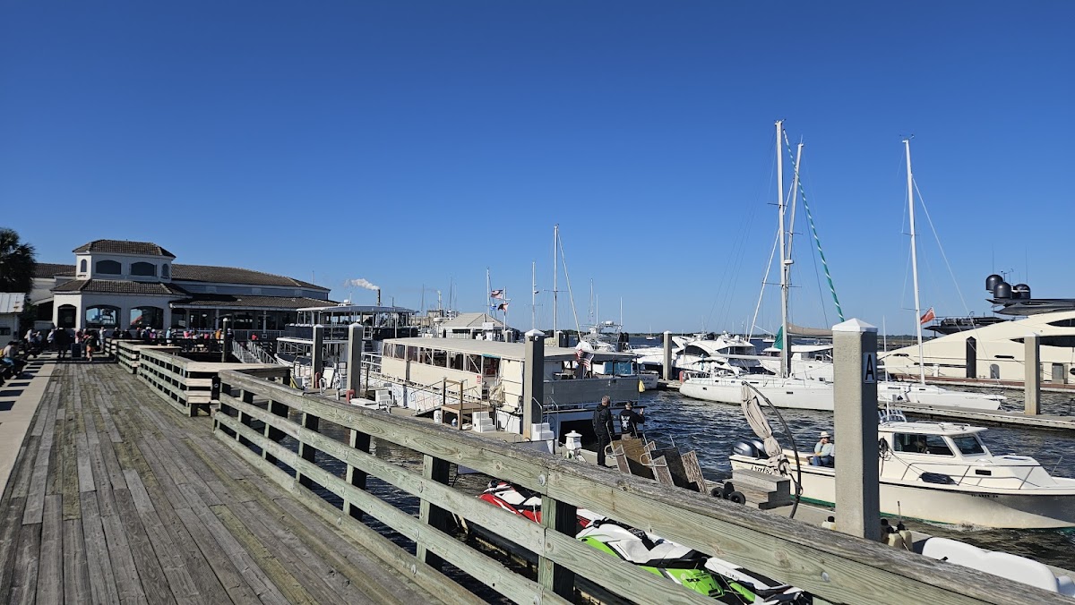 Amelia River Cruises & Charters photo 7