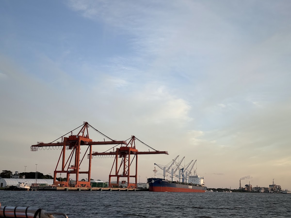 Amelia River Cruises & Charters photo 9