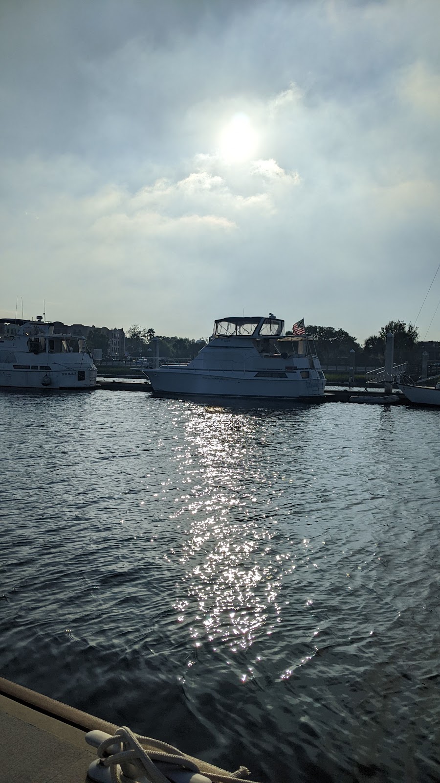 Anchors Aweigh Charters, Inc. photo 9