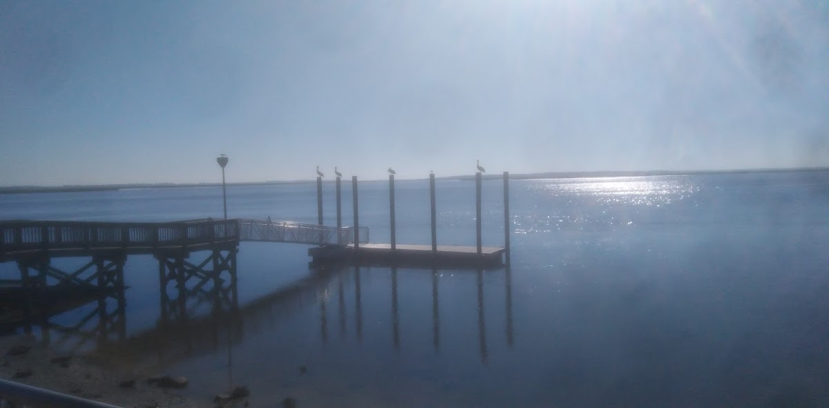 Goffinsville Nassau River Park photo 5