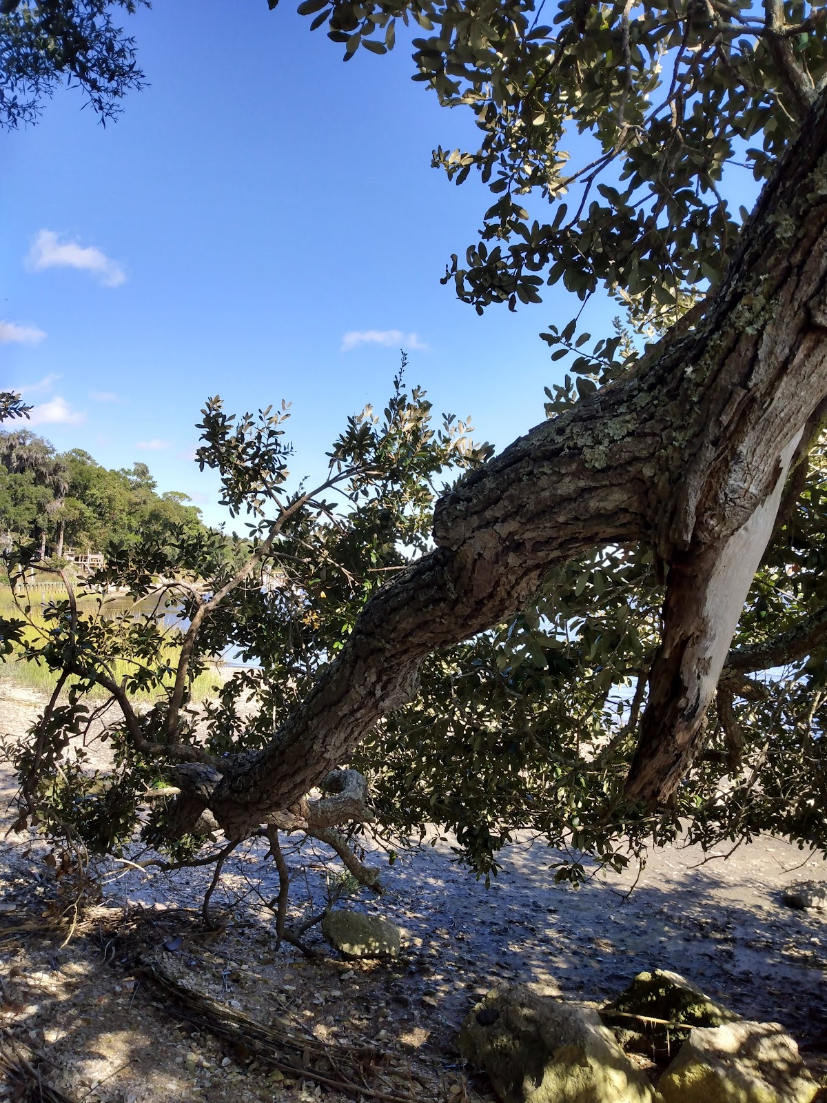 Goffinsville Nassau River Park photo 6