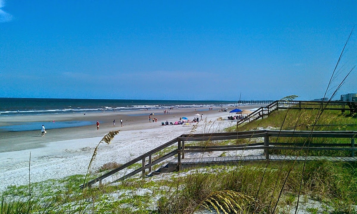 Fernandina Beach Golf Club photo 3