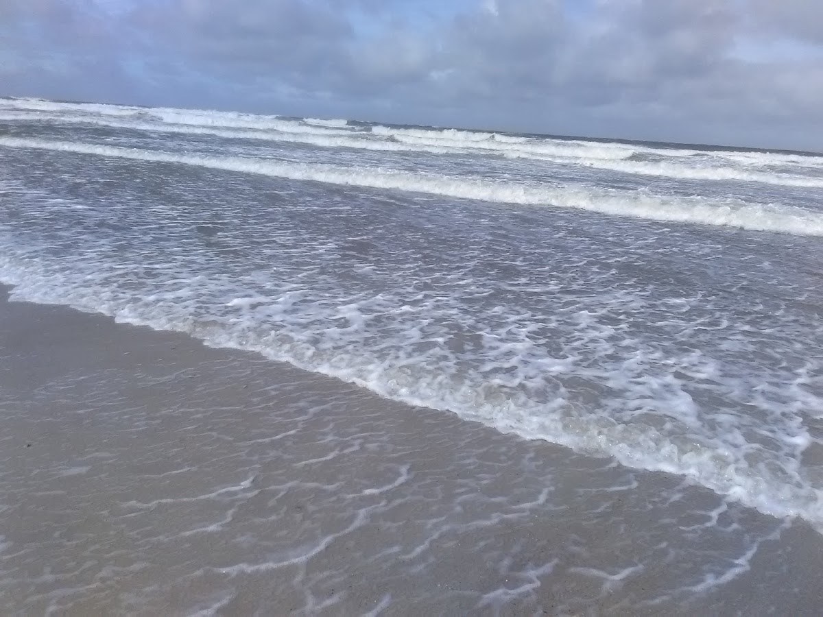 The Amelia Island Club at Long Point photo 4