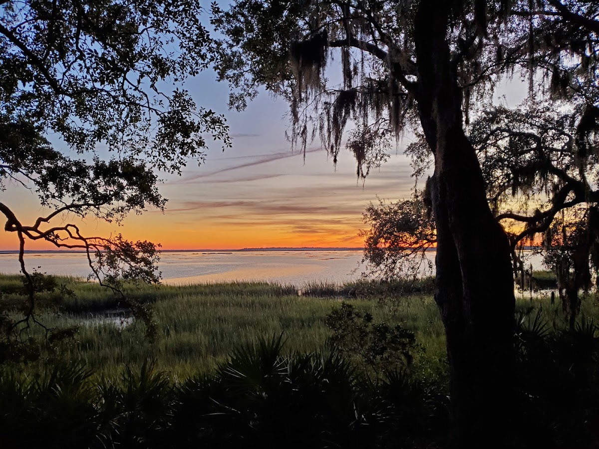 The Amelia River Club photo 2