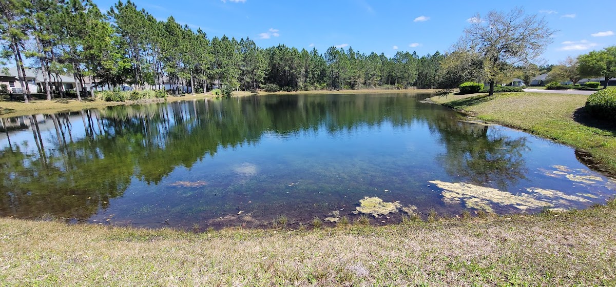 The Golf Club at North Hampton photo 9