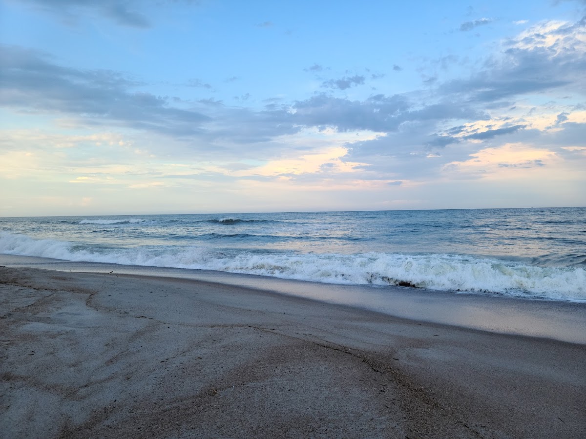 Amelia Hotel at the Beach photo 8