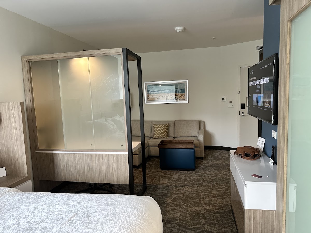 SpringHill Suites by Marriott Amelia Island photo 9