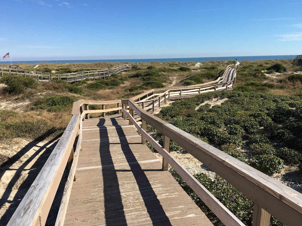 Amelia Island photo 1