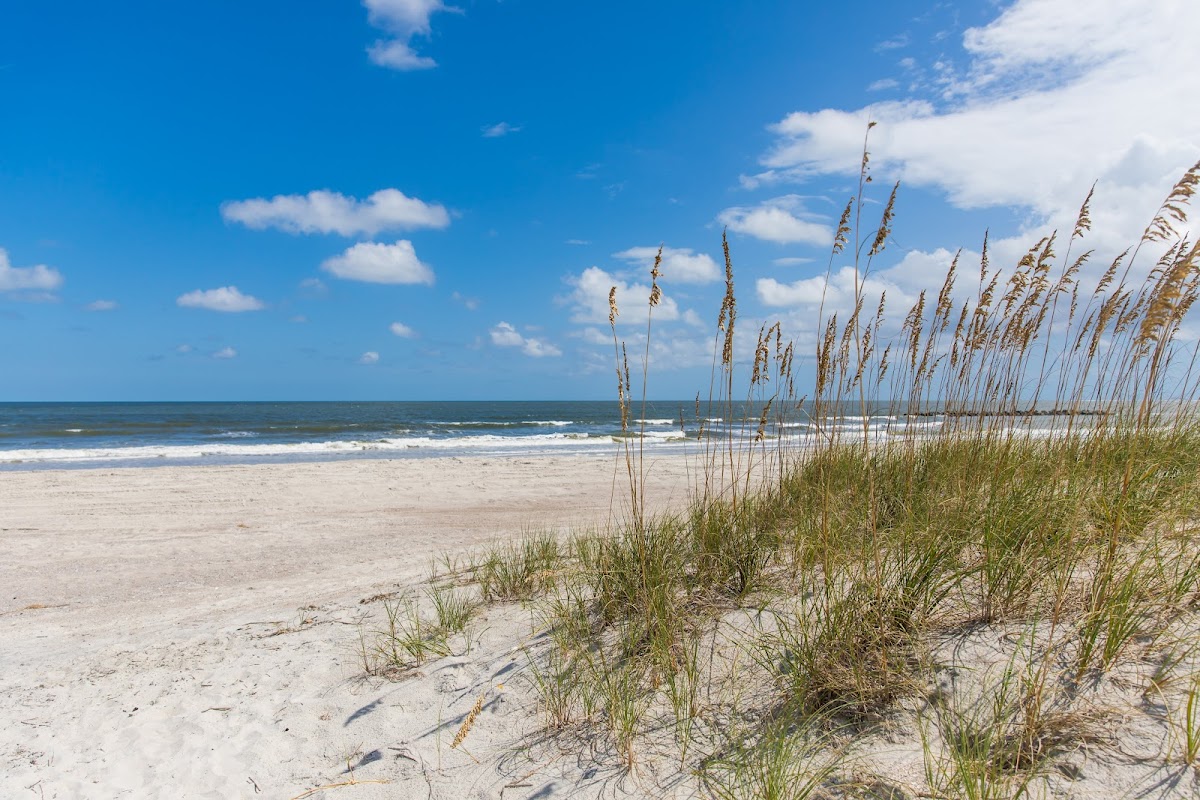 Amelia Island photo 2